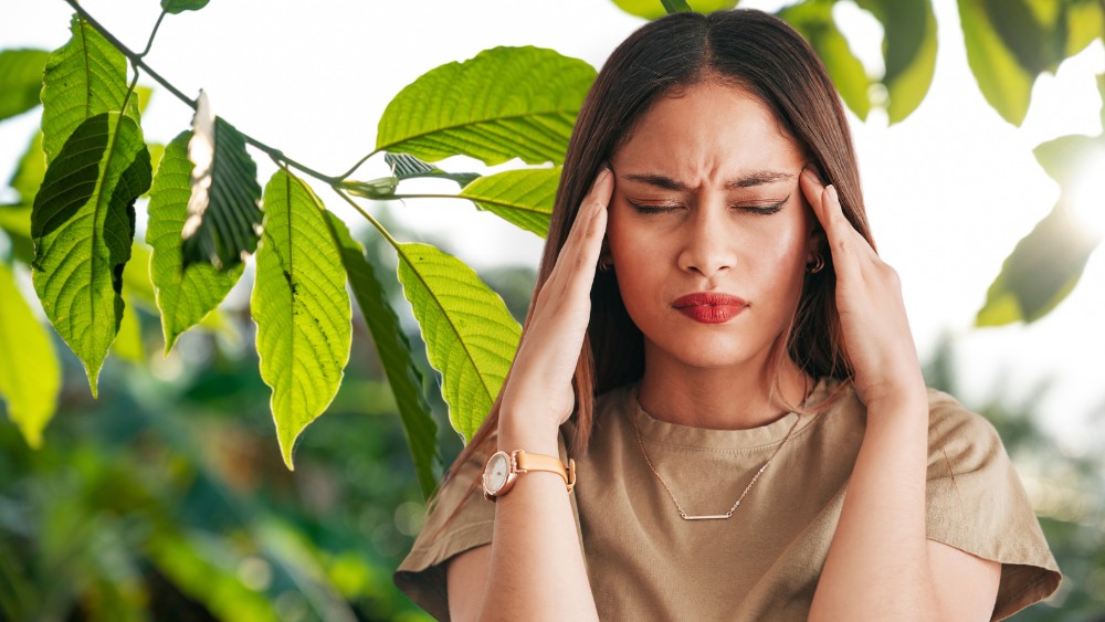 kratom nebenwirkungen